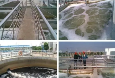 肖羽堂 以技術(shù)先鋒之姿，共繪企業(yè)環(huán)保監(jiān)測新藍(lán)圖