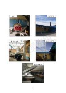 保定市潤霖果脯廠果脯加工項目竣工環境保護驗收監測報告——專業環保咨詢服務解讀